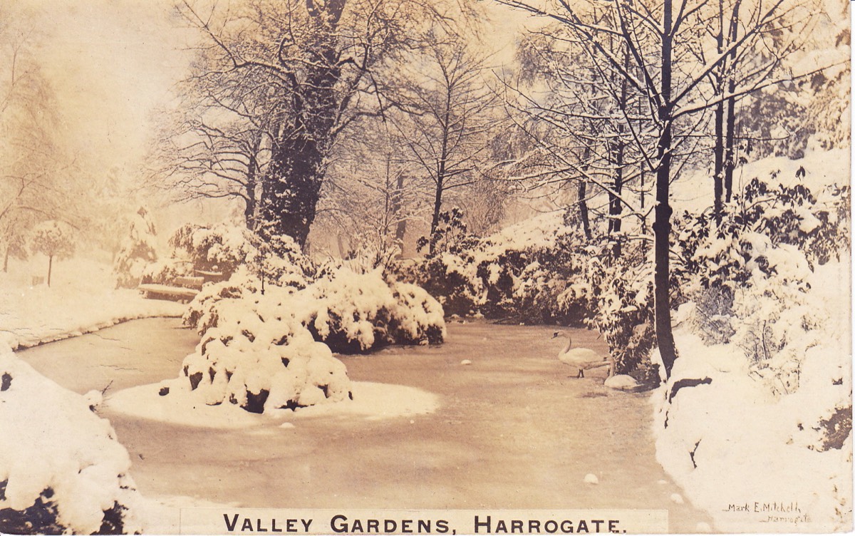 Duck Pond in Winter - Early 1940s*