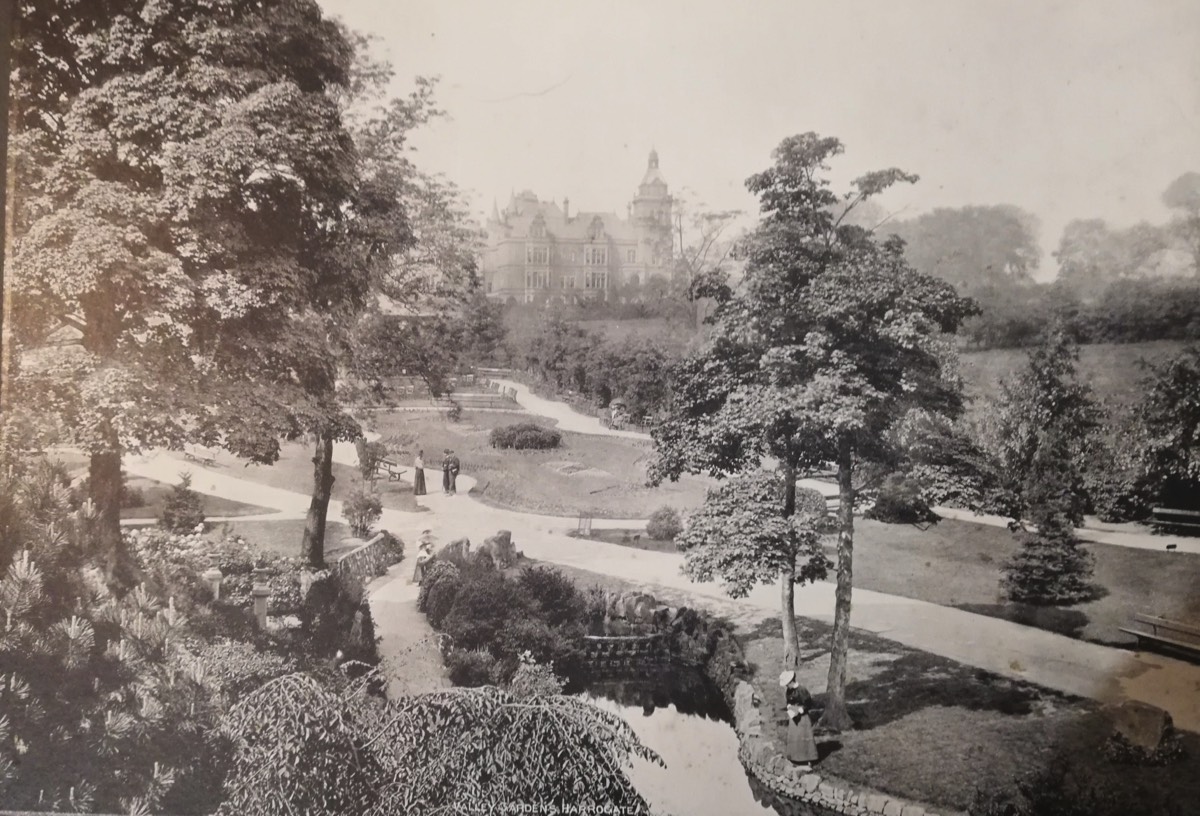 Duck Pond looking Toward Hospital c.1905*